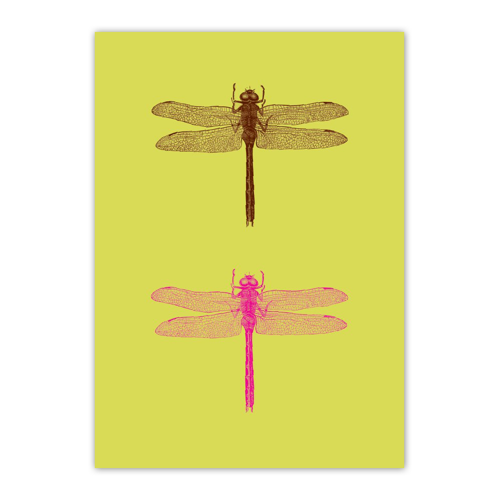 dragonflyduo_greetingcard