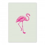flamingo_greetingcard