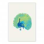 peacock_greetingcard