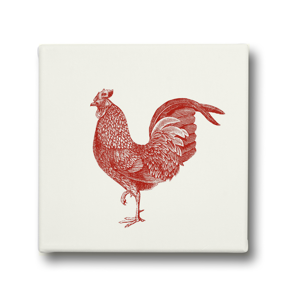 redcockerel_canvassquare